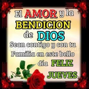 Meet your Posher, Eva